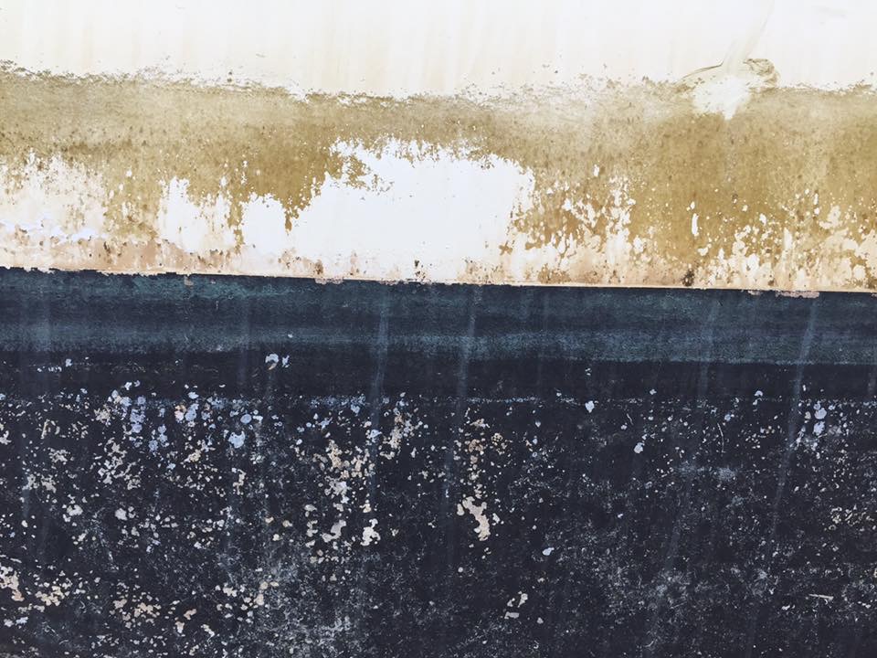 Série 29